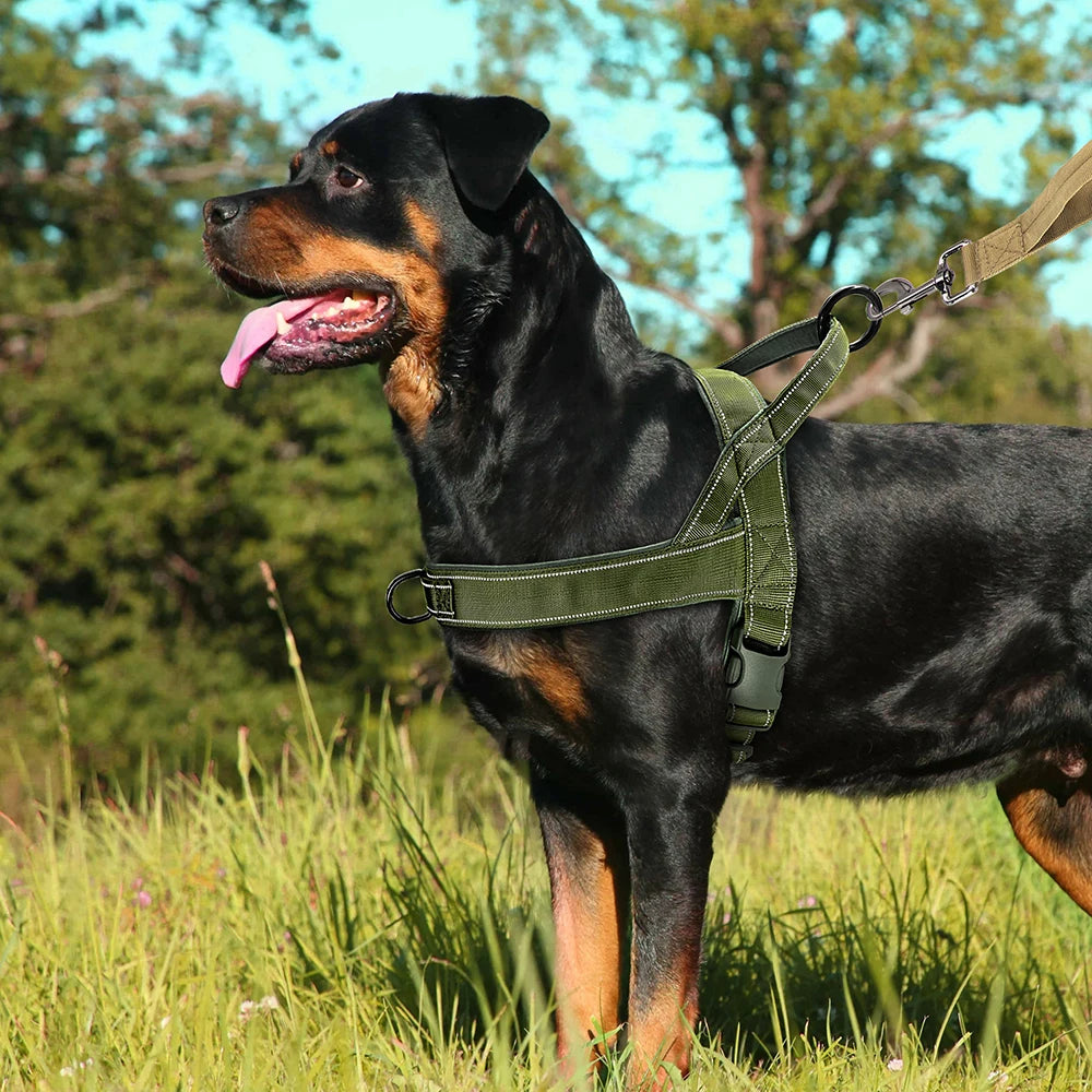 Adjustable Reflective Nylon Dog Harness