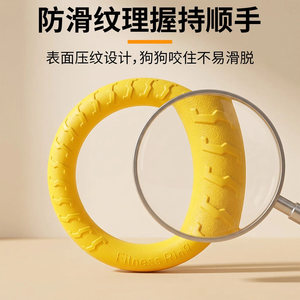 Fetch & Play Dog Toys
