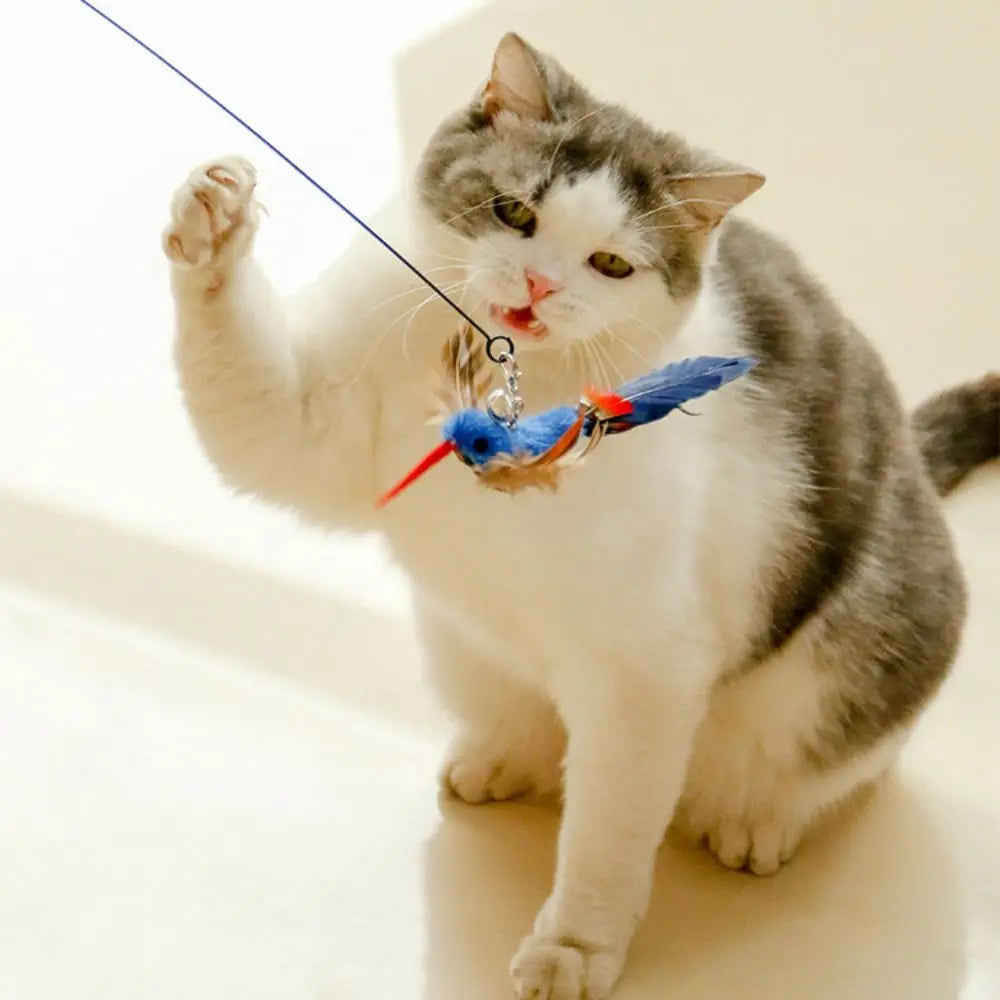 BirdieBounce Cat Teaser