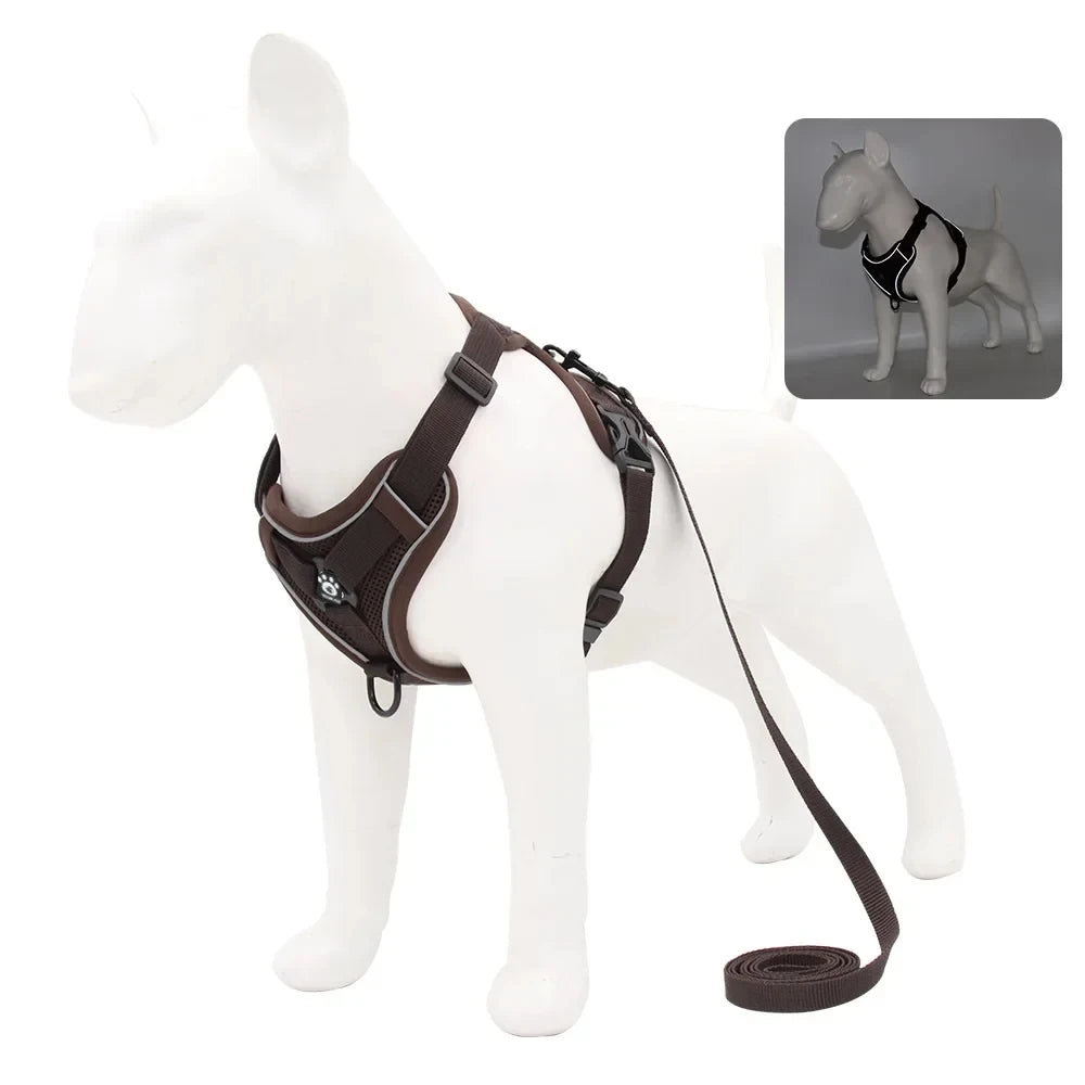 Adjustable Reflective Dog Harness & Leash Set