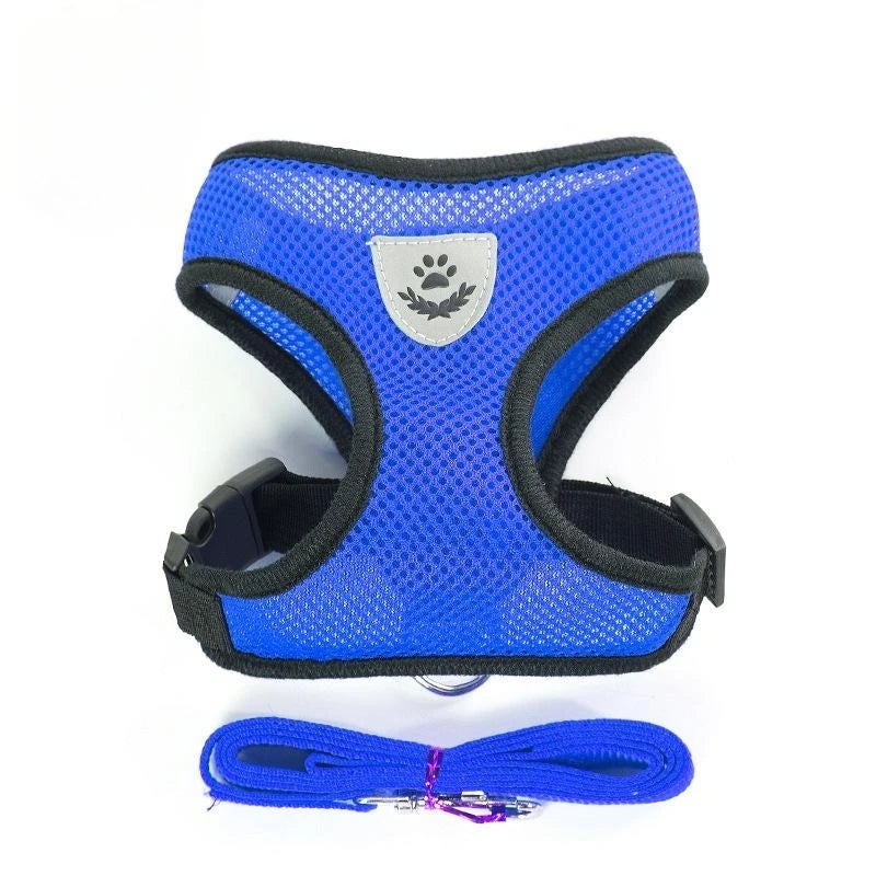 Pet Harness & Leash