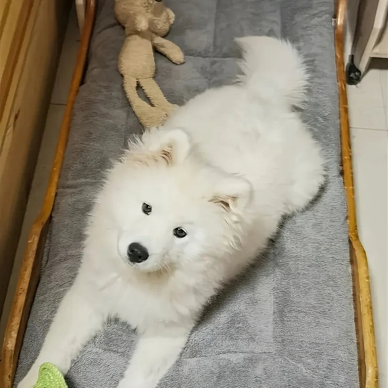 CloudRest Plush Pet Bed