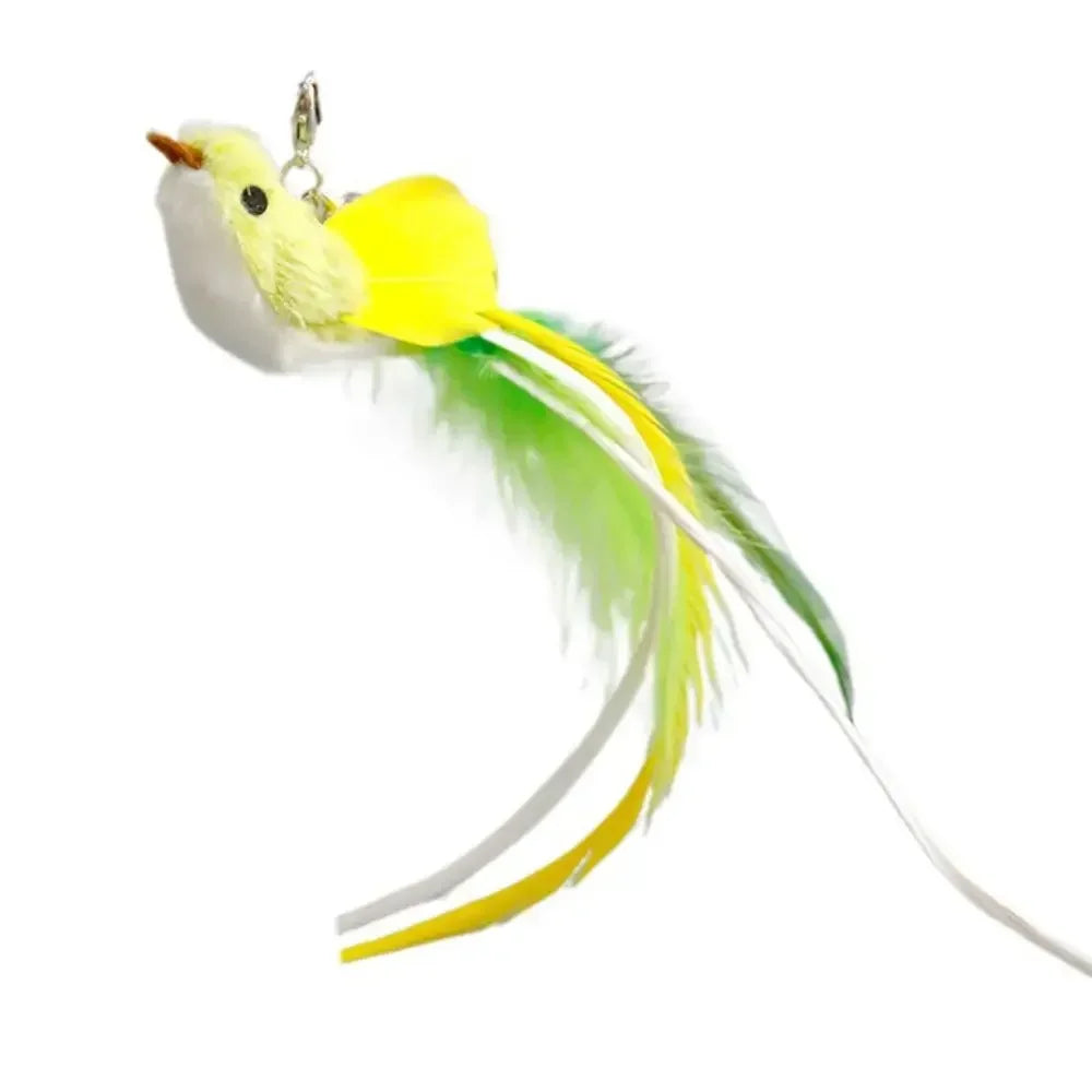 BirdieBounce Cat Teaser