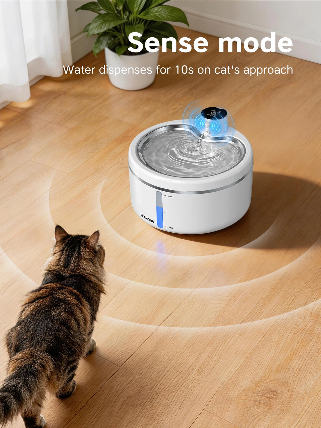 Cordless Water Fountain for Cats & Dogs