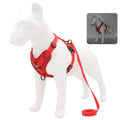 Adjustable Reflective Dog Harness & Leash Set