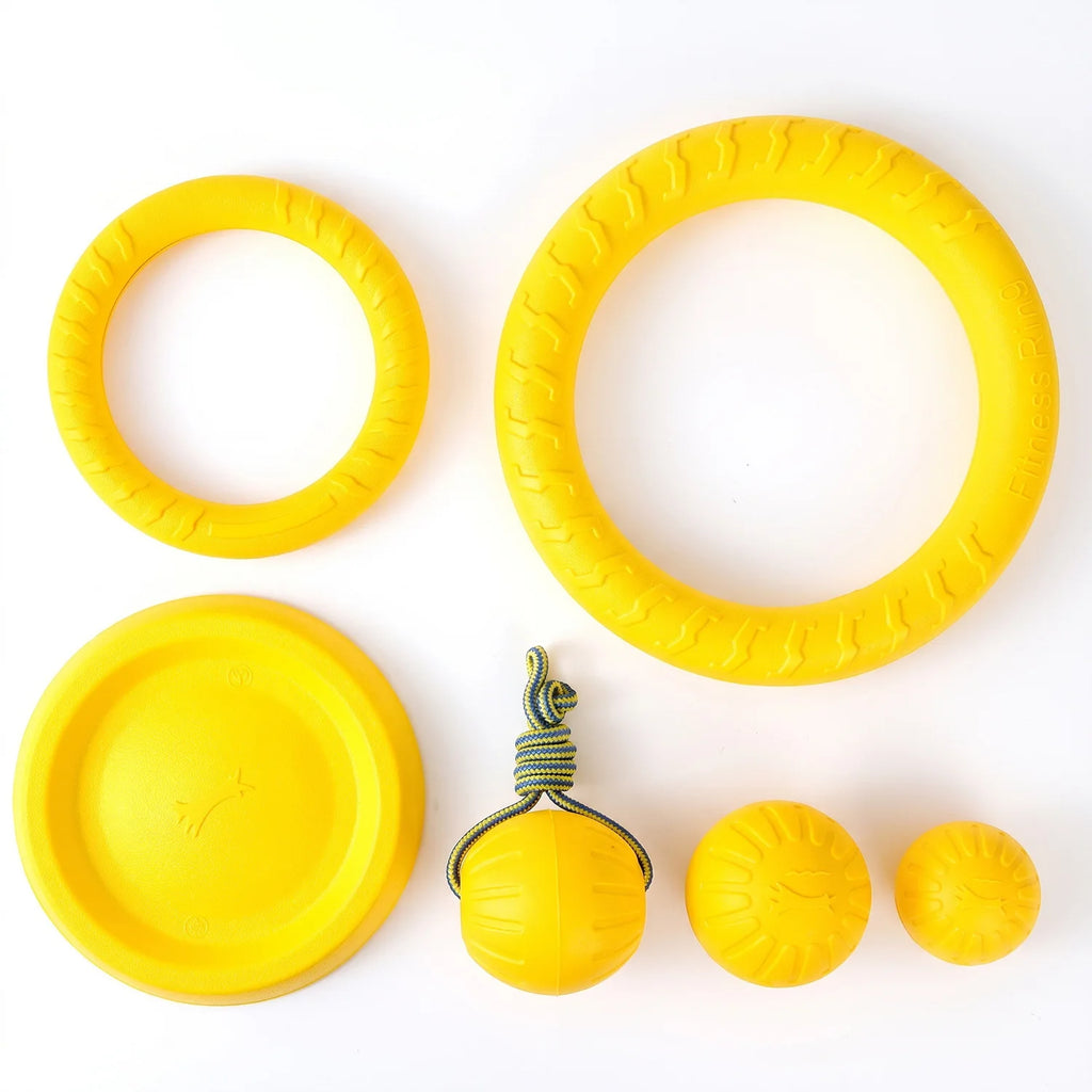 Fetch & Play Dog Toys