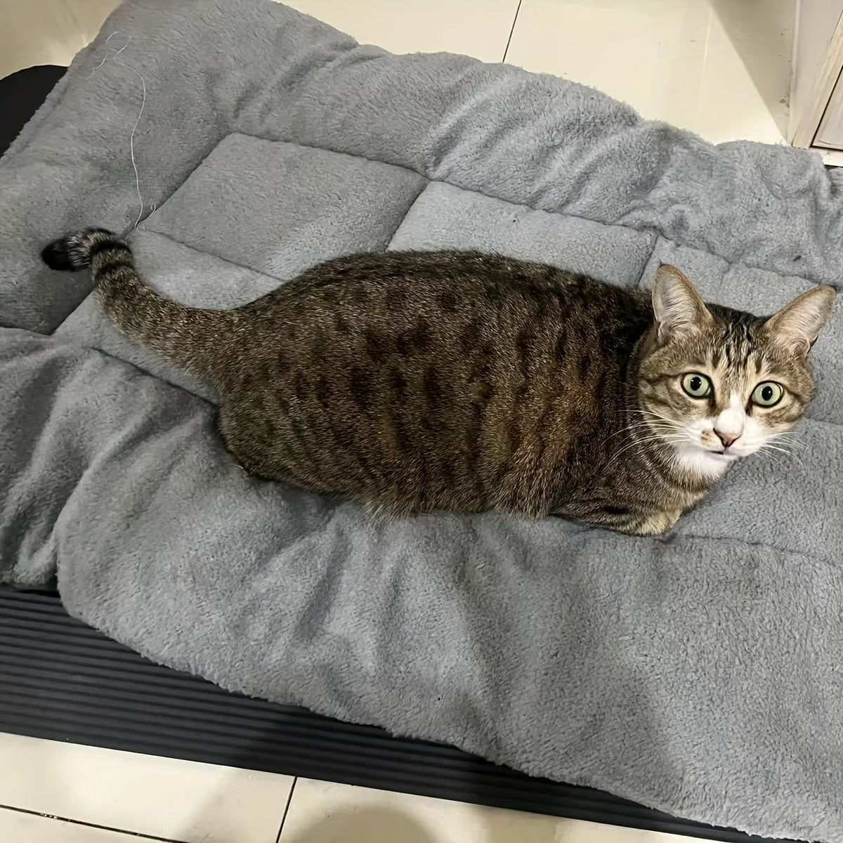 CloudRest Plush Pet Bed