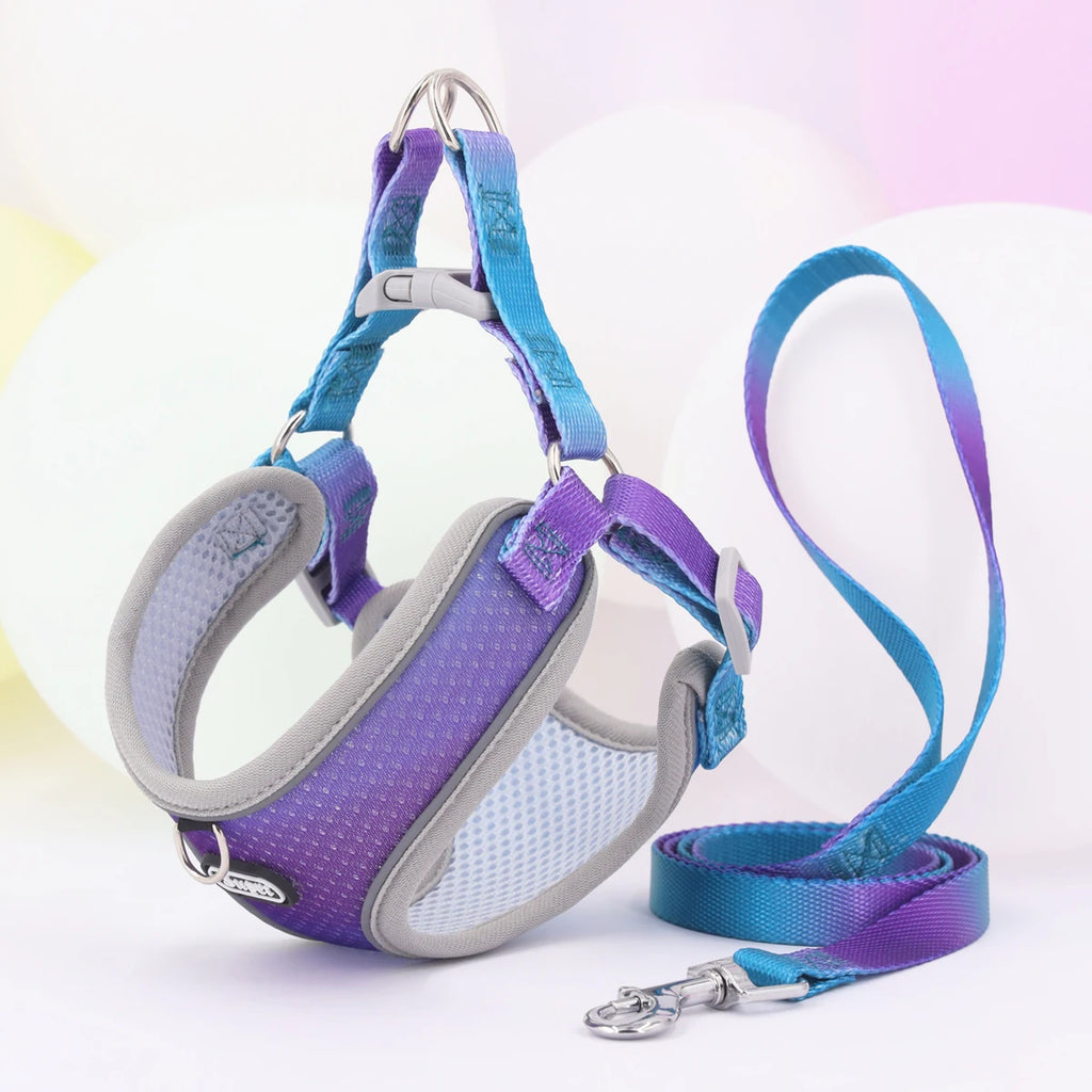 SoftStep Reflective Pet Harness & Leash Set