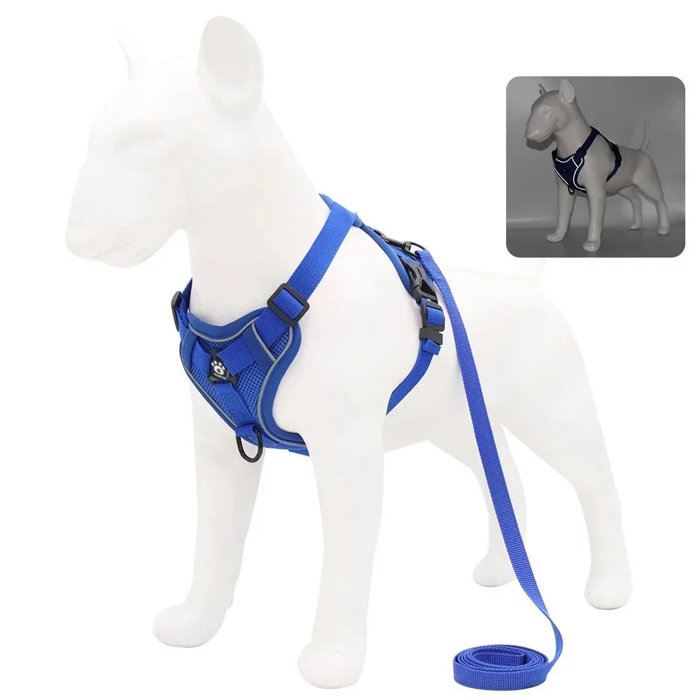 Adjustable Reflective Dog Harness & Leash Set