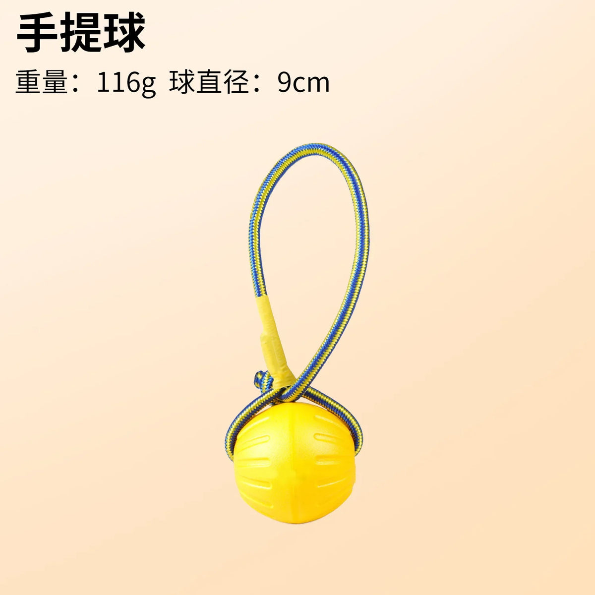 Fetch & Play Dog Toys