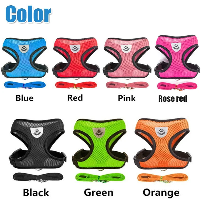Pet Harness & Leash