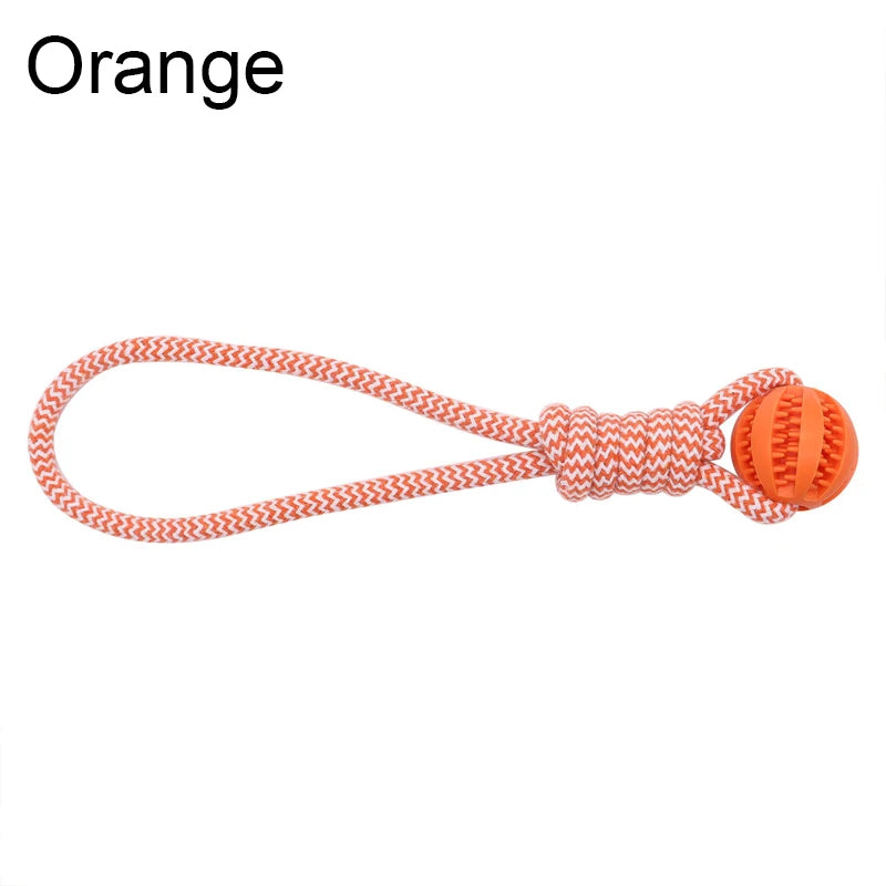 Treat Ball Rope Toy