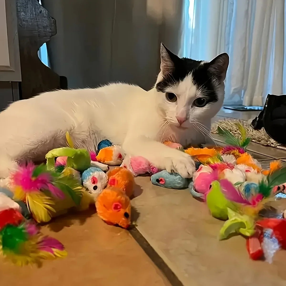Cat Toy Variety Pack