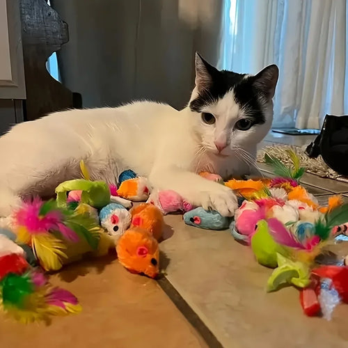 Cat Toy Variety Pack