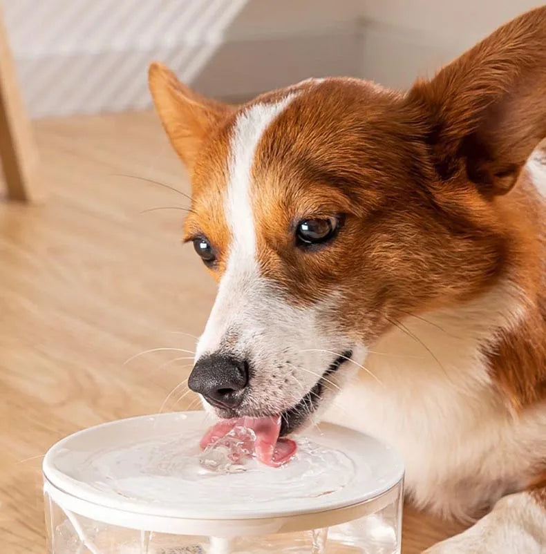 Flower Water Fountain for Cats & Small Dogs