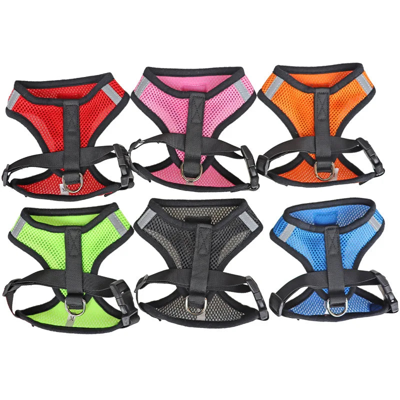 Pet Harness & Leash