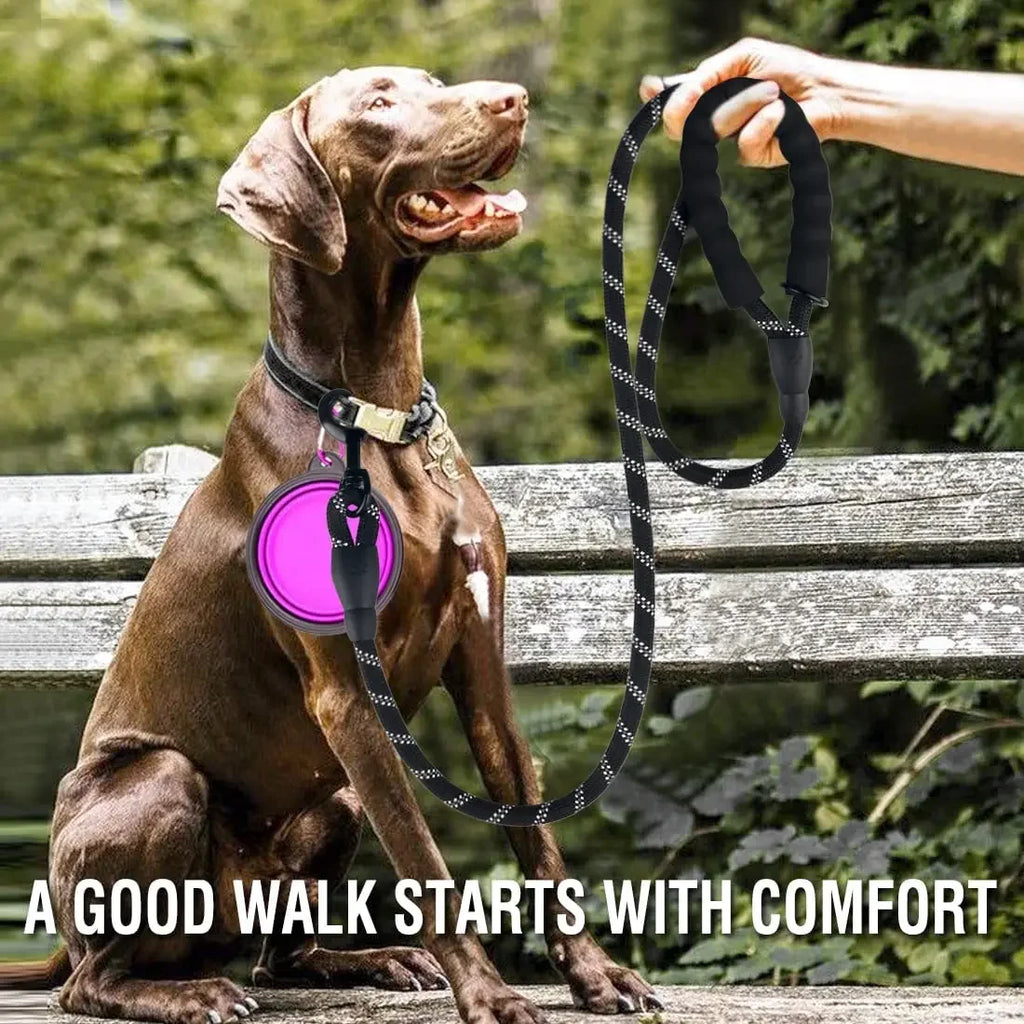 SafePaws Reflective Rope Leash
