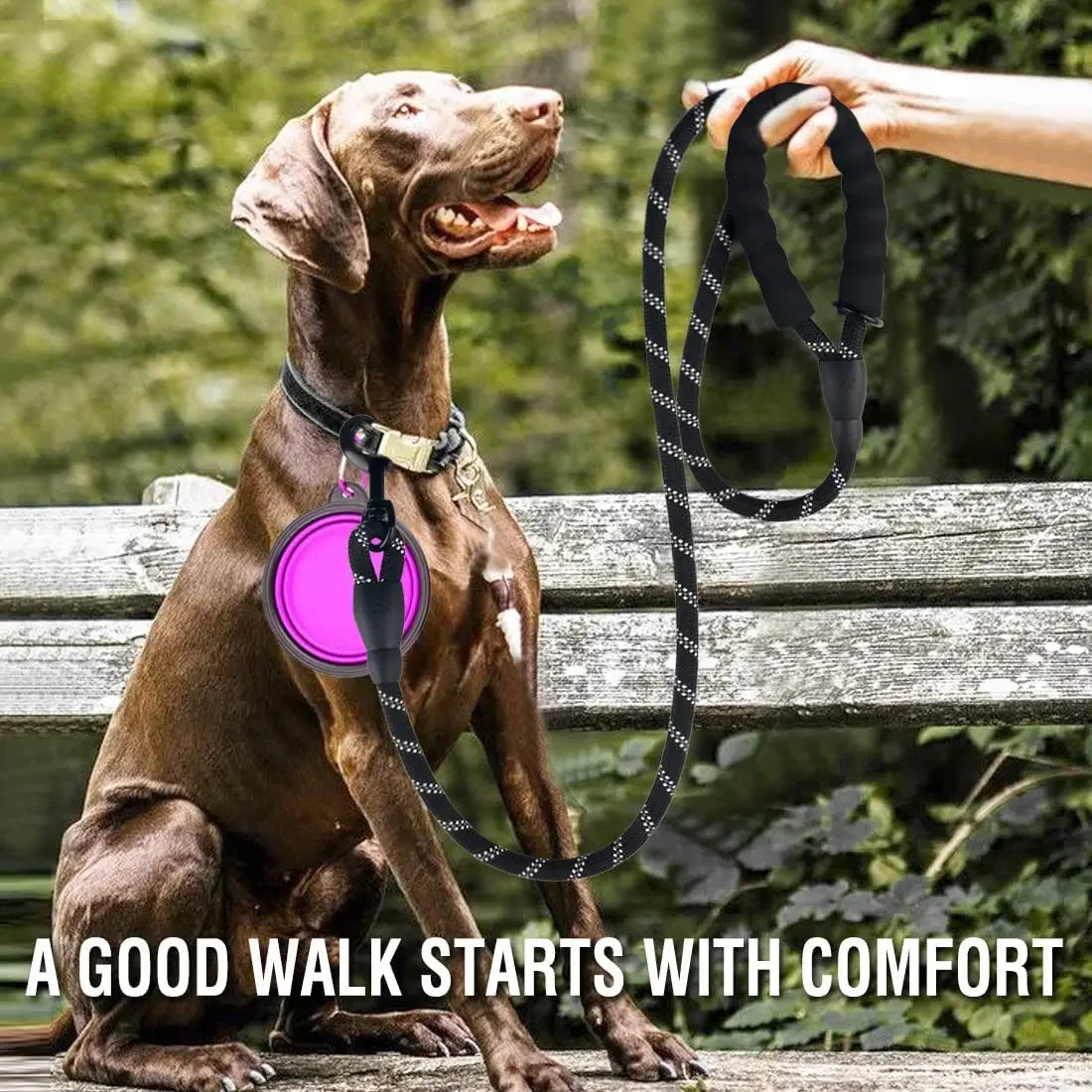 SafePaws Reflective Rope Leash