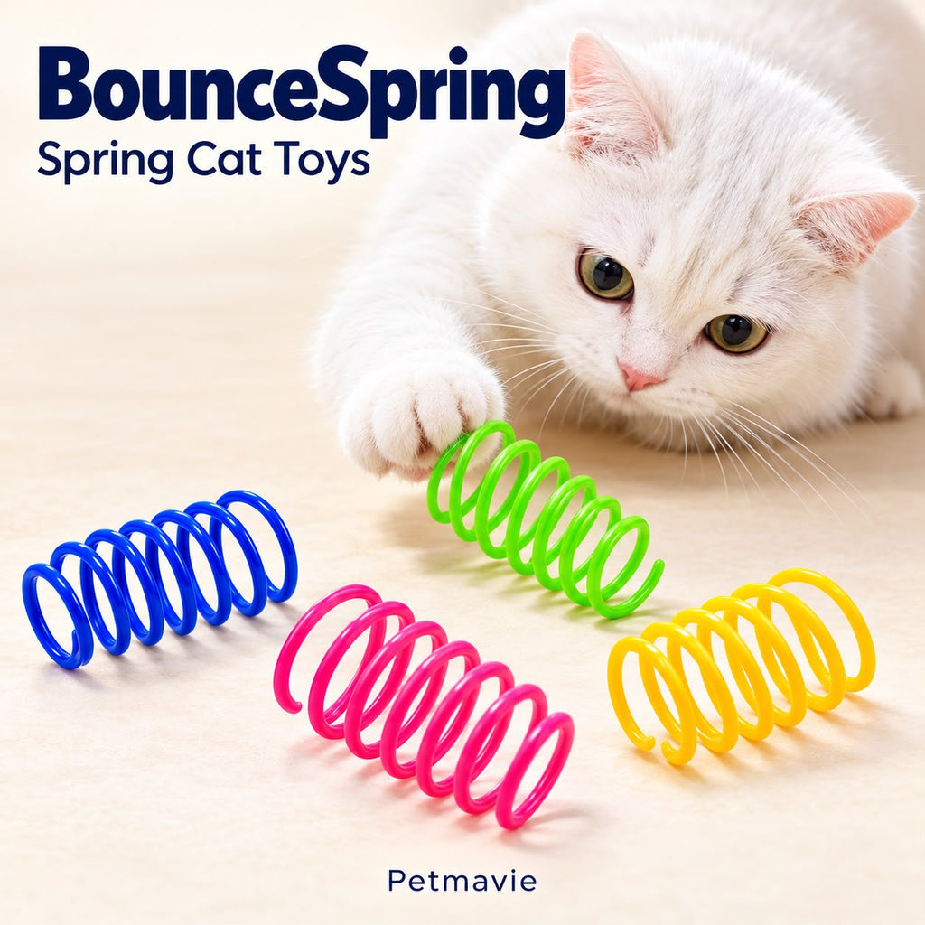 BounceSpring