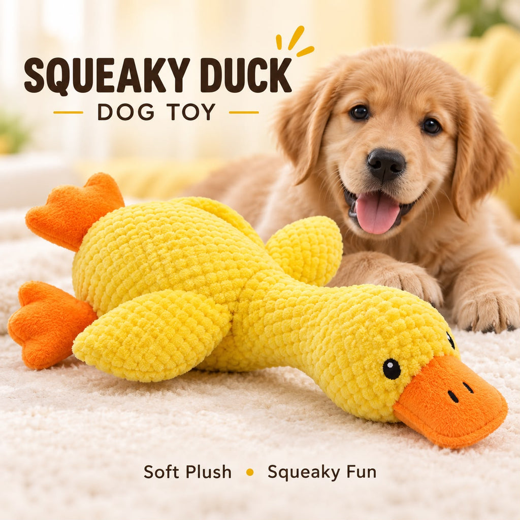 Squeaky Duck Dog Toy