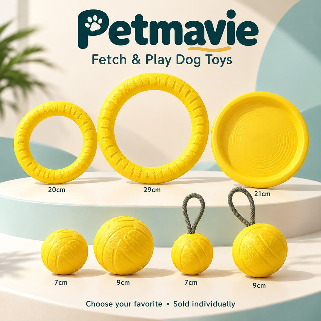Fetch & Play Dog Toys