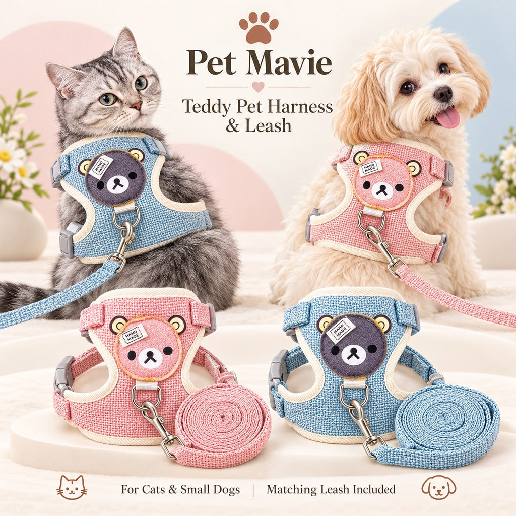 Teddy Pet Harness & Leash