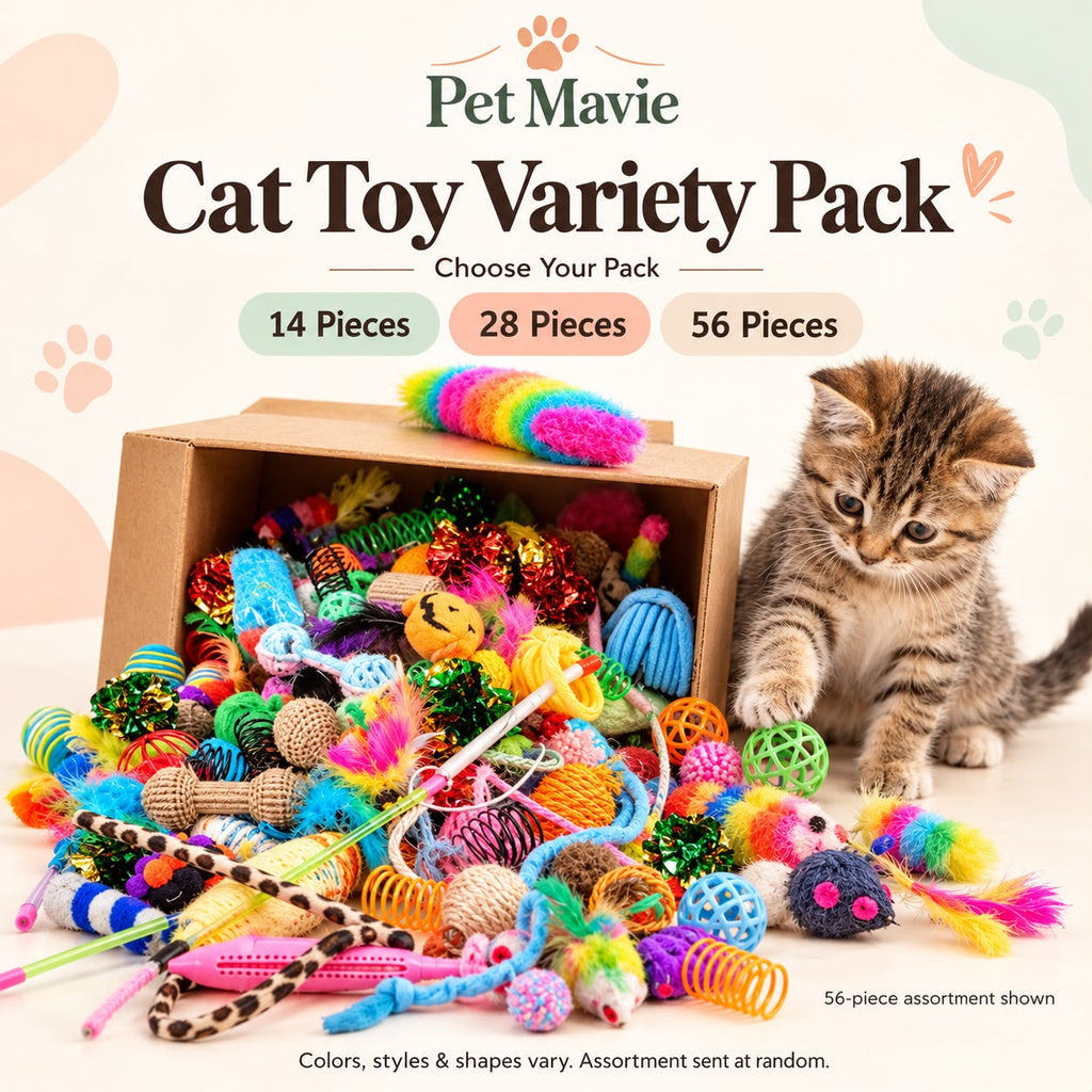 Cat Toy Variety Pack